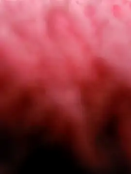 eric69 69 online show from 03-05-25, 03:29