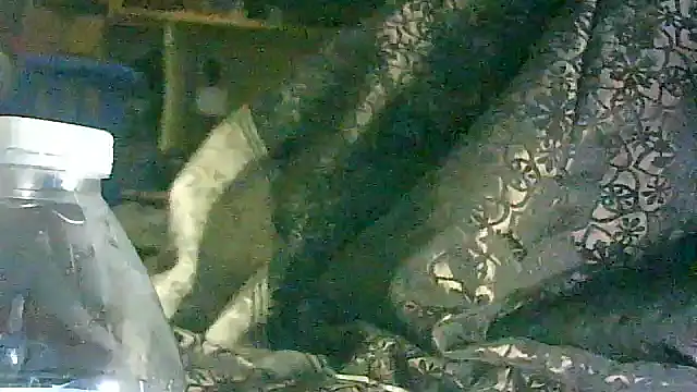 DI4MOND FIR3 online show from 03-17-26, 05:55