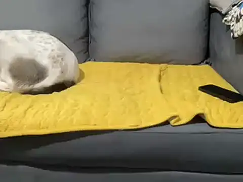 4small4inchlol online show from 02-05-25, 01:54