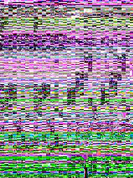 SandraCarter online show from 06-07-26, 07:12
