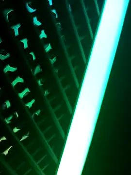 Snapshot of PerfectAhinsa chatting on 09-20-25, 05:58 PerfectAhinsa online show from 09-20-25, 05:58