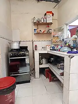 florecita9 online show from 12-12-24, 09:04