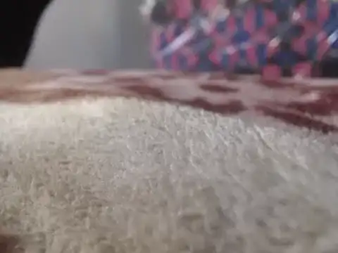 hoittytoittyxx online show from 03-03-25, 03:20