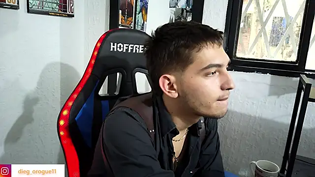 Snapshot of DiegoRogue_ chatting on 03-12-25, 10:07 DiegoRogue online show from 03-12-25, 10:07