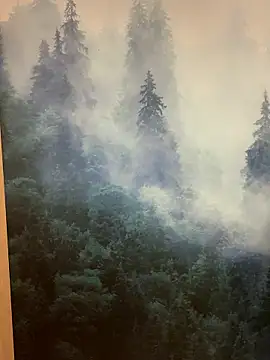 ladoucedu34 online show from 01-12-26, 03:39