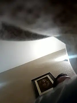 Porco81cazzo online show from 01-05-26, 06:33