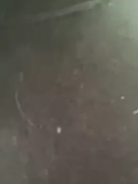 melyescobar online show from 01-30-25, 12:06