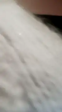 JAWHARA  online show from 12-15-24, 08:04