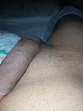 taylorWiiz online show from 11-26-25, 04:57