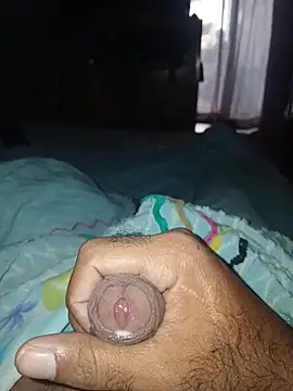 taylorWiiz online show from 03-03-26, 12:55