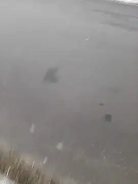 Snapshot of BRUNNA chatting on 03-20-25, 03:34 BRUNNA online show from 03-20-25, 03:34