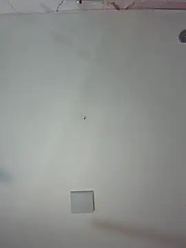 kiim taaylor online show from 02-25-26, 11:31