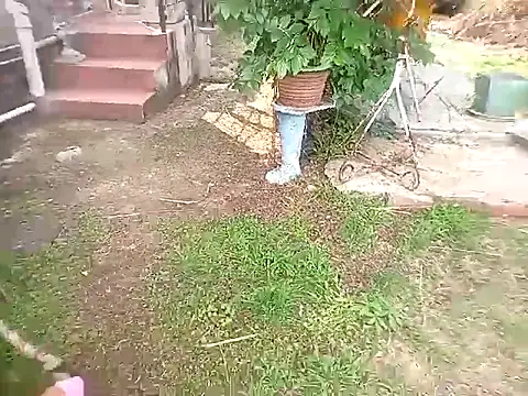 bustybillies online show from 10-11-25, 03:54