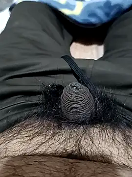 Snapshot of punjabimunda28 chatting on 01-27-25, 04:52 punjabimunda28 online show from 01-27-25, 04:52