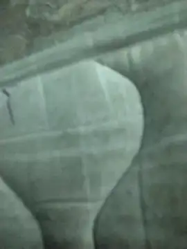 lm279 online show from 02-19-25, 08:20