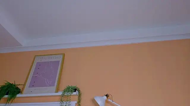 ParisFox  online show from 02-21-26, 10:11