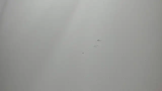 Snapshot of JackSwan18 chatting on 12-04-25, 07:33 JackSwan18 online show from 12-04-25, 07:33