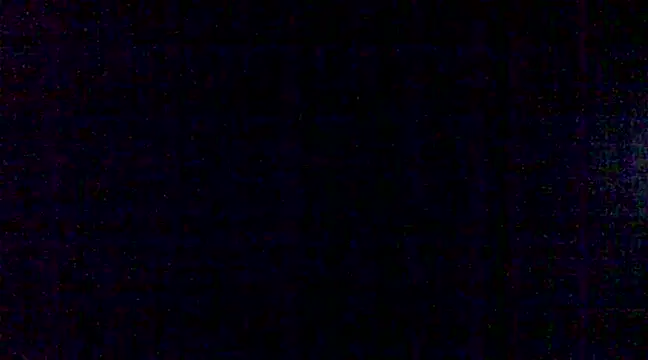 steelwings1976 online show from 01-14-25, 04:08