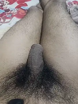 AssamSilchar93 online show from 06-17-26, 11:34