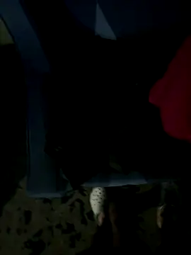 JosephAKenwood online show from 12-02-25, 01:39