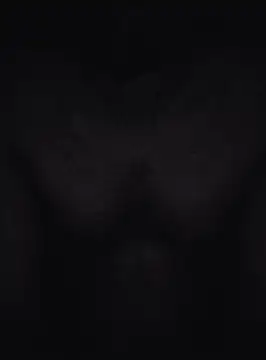 Snapshot of Keshuloveyou chatting on 12-20-24, 07:44 Keshuloveyou online show from 12-20-24, 07:44