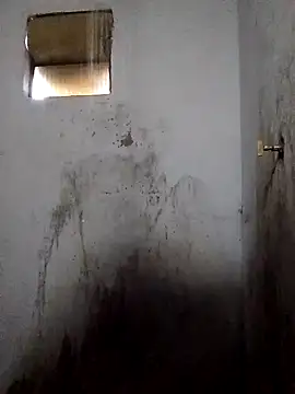 Percybr4561 online show from 11-01-25, 01:13