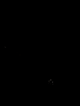 cindy damm online show from 04-24-26, 12:24