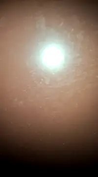 tall nangu online show from 02-21-25, 06:04