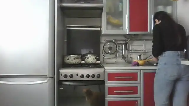 Kashtanka  online show from 03-25-26, 08:53