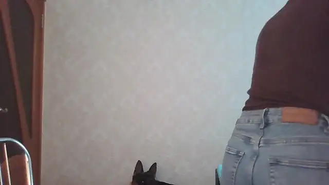 Kashtanka  online show from 05-21-26, 07:26