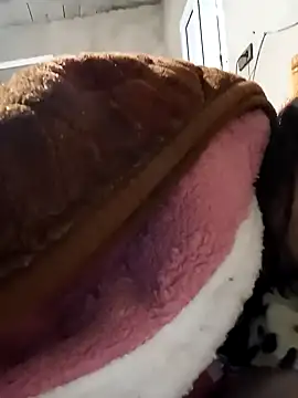 Snapshot of jijijoudia chatting on 01-25-25, 12:37 jijijoudia online show from 01-25-25, 12:37