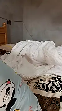 Snapshot of jijijoudia chatting on 01-26-25, 11:50 jijijoudia online show from 01-26-25, 11:50