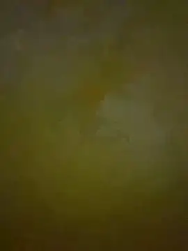 Snapshot of HeviZ chatting on 01-21-25, 08:21 HeviZ online show from 01-21-25, 08:21