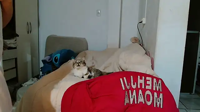 Snapshot of le_fox chatting on 07-04-26, 05:30 le fox online show from 07-04-26, 05:30