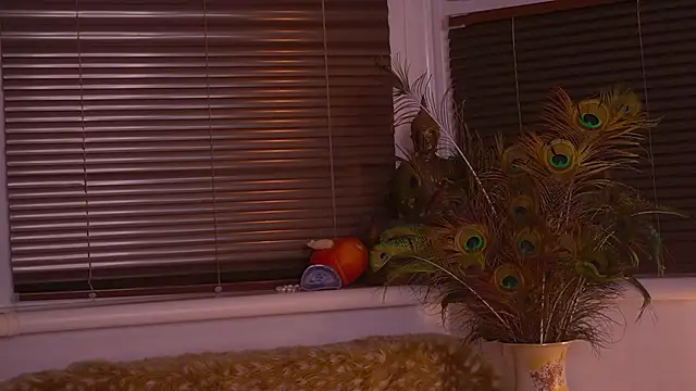 divinelights online show from 11-12-25, 05:02