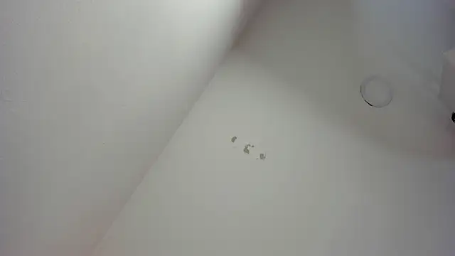 Snapshot of JackRibas_ chatting on 03-18-25, 02:36 JackRibas online show from 03-18-25, 02:36