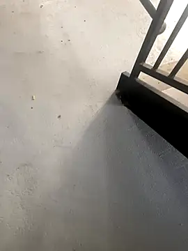 Snapshot of zeekBbc chatting on 10-27-25, 02:21 zeekBbc online show from 10-27-25, 02:21