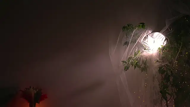 lorrie love story online show from 10-07-25, 08:55