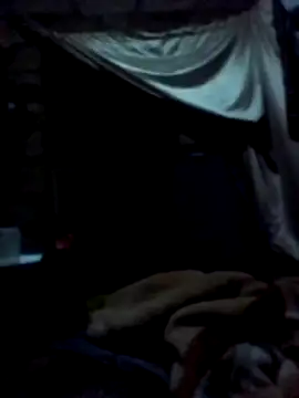 Snapshot of January256 chatting on 03-02-26, 10:38 January256 online show from 03-02-26, 10:38