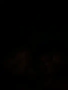 islandvybee55 online show from 12-18-24, 09:47