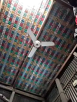 Koyel-Sen online show from 01-22-25, 07:03