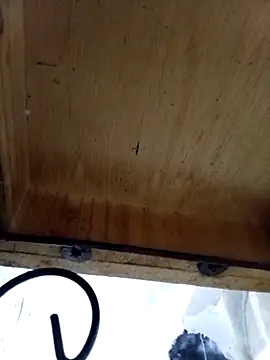 DaniSexFlow online show from 10-13-25, 04:34