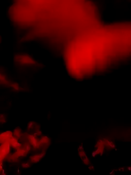 DaniSexFlow online show from 03-31-26, 08:04