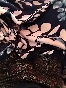 Snapshot of indian___fucker chatting on 09-14-25, 09:52 indian   fucker online show from 09-14-25, 09:52