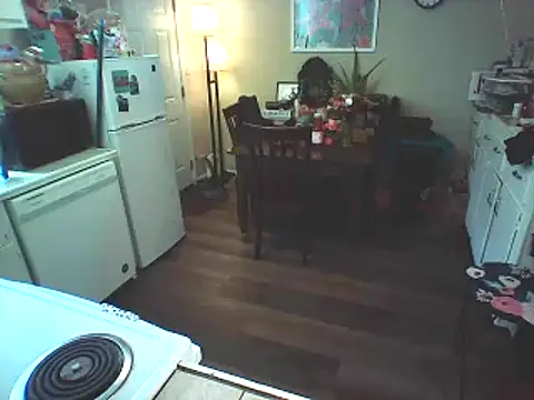 Big-Tits-McGee online show from 02-19-25, 06:10