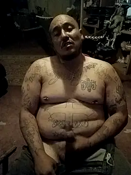 wilsons12 online show from 04-04-26, 03:27