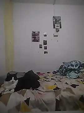 safira hot online show from 02-16-26, 12:40