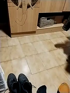 minitranca online show from 10-28-25, 08:22