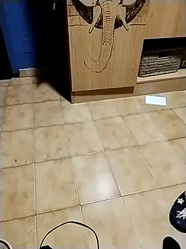 minitranca online show from 11-10-25, 09:25