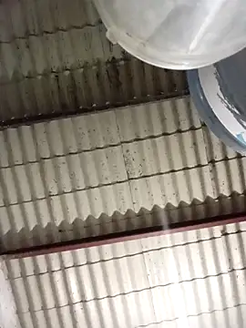 strip 1212 online show from 03-08-26, 02:04